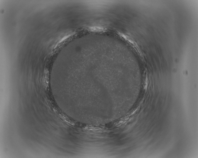 X0000087671301200705251609