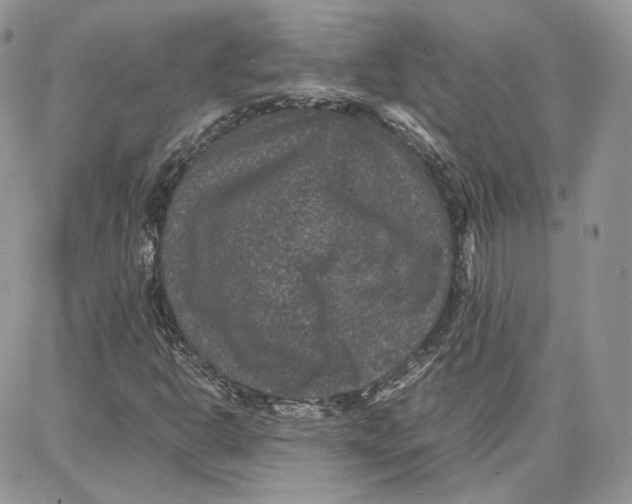 X0000087671302200705251609