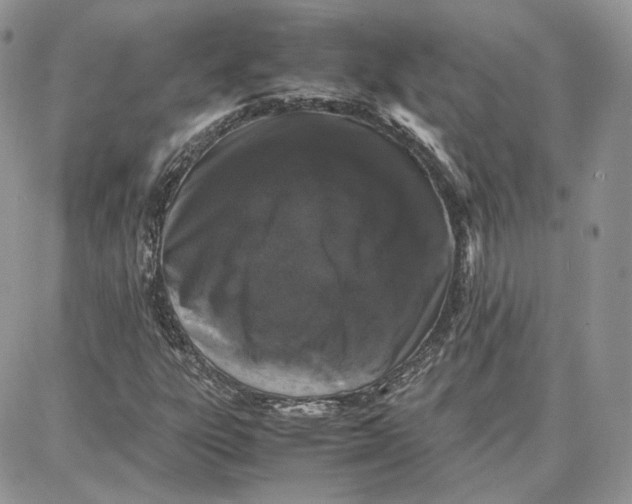 X0000087671303200705251609