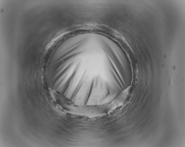 X0000087671304200705251609