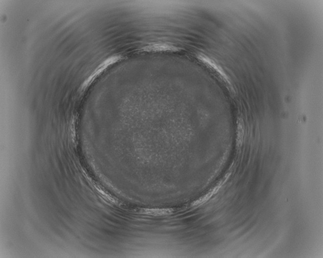 X0000087671305200705251609