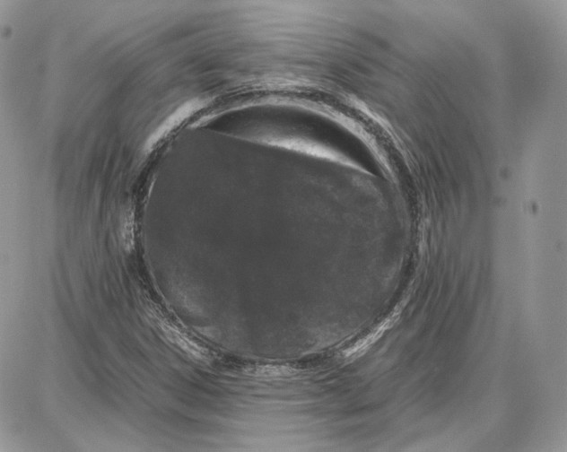 X0000087671306200705251609