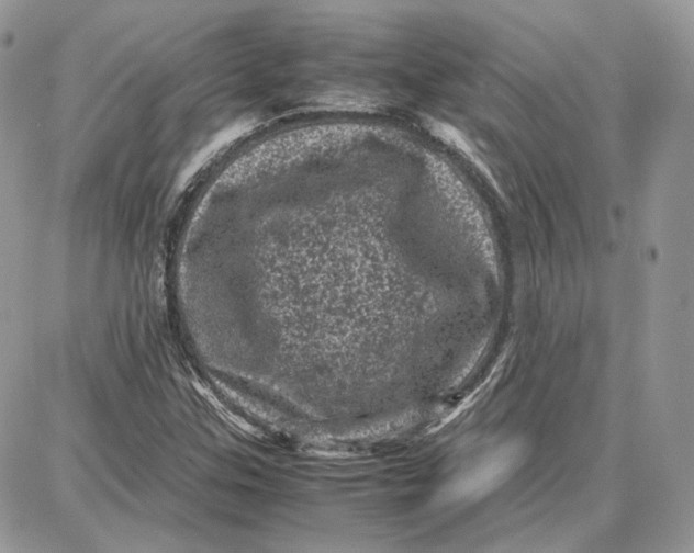 X0000087671307200705251609