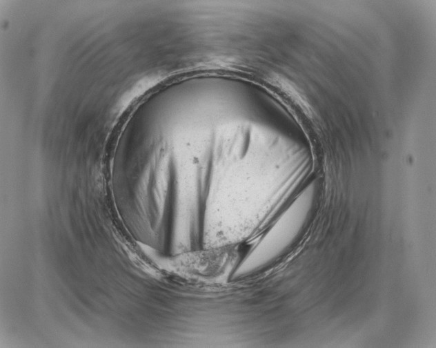 X0000087671308200705251609