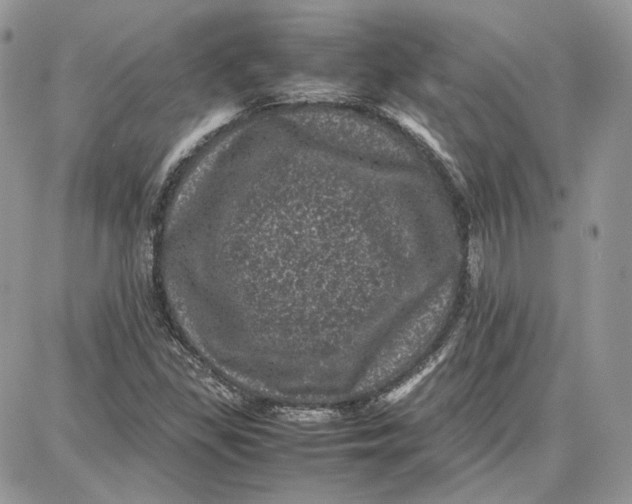 X0000087671309200705251609