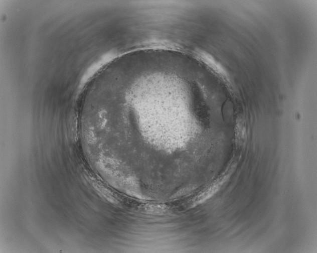 X0000087671310200705251609