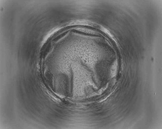 X0000087671312200705251609