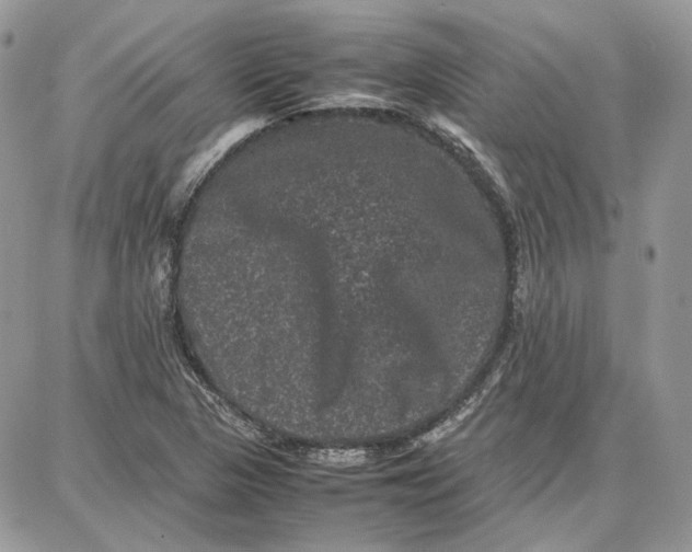 X0000087671313200705251609