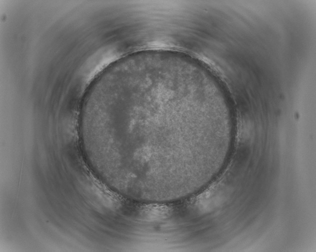 X0000087671314200705251609