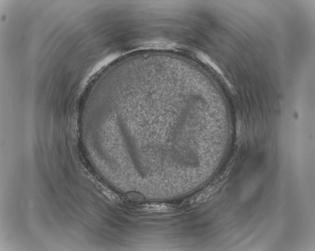 X0000087671315200705251609