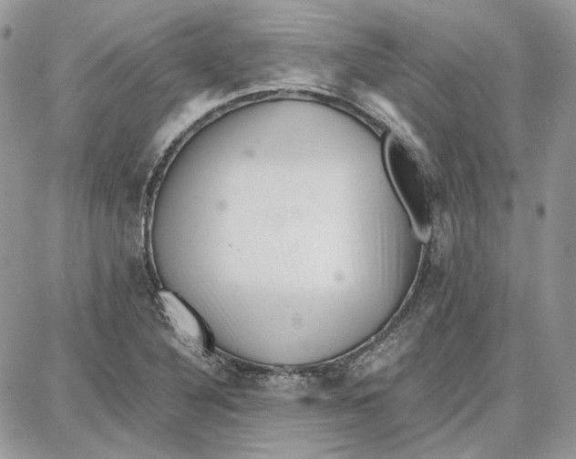 X0000087671316200705251609