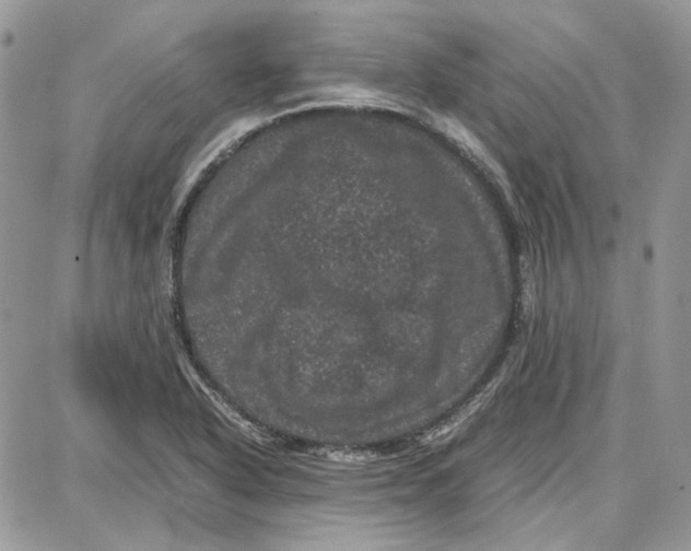 X0000087671318200705251609