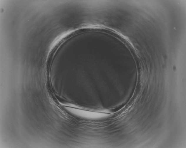 X0000087671319200705251609