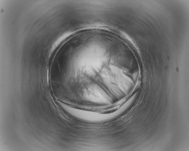 X0000087671320200705251609