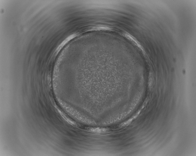 X0000087671321200705251609