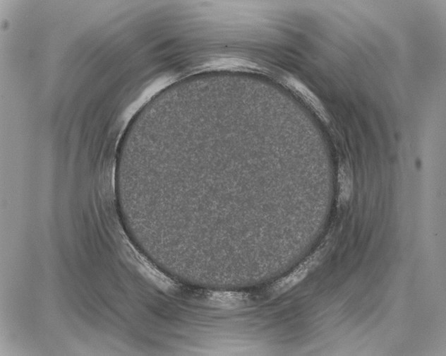 X0000087671322200705251609