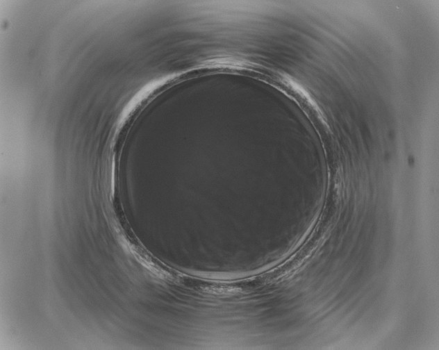 X0000087671323200705251609