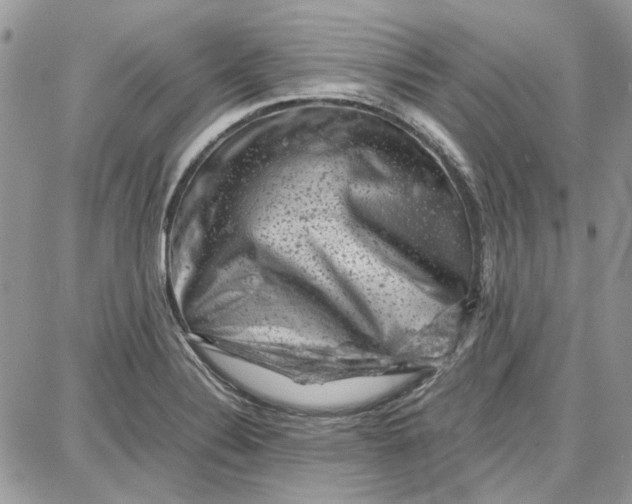 X0000087671324200705251609