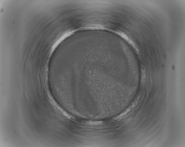 X0000087671325200705251609