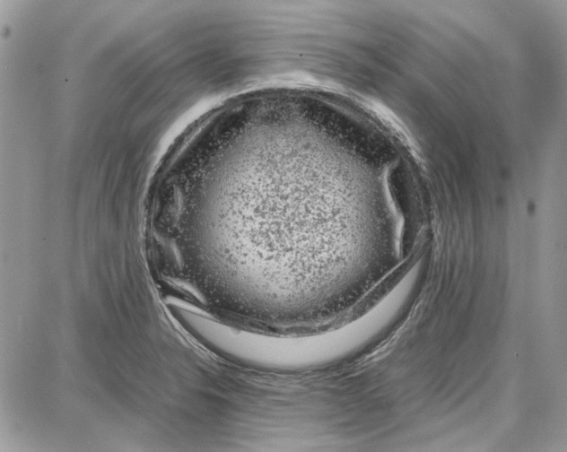 X0000087671326200705251609