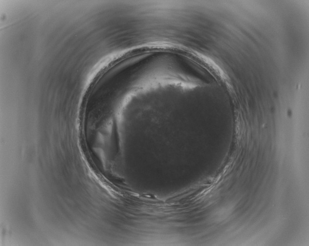 X0000087671327200705251609