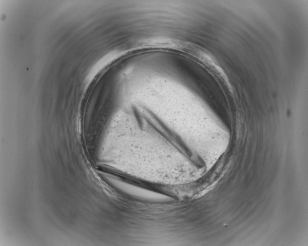 X0000087671328200705251609