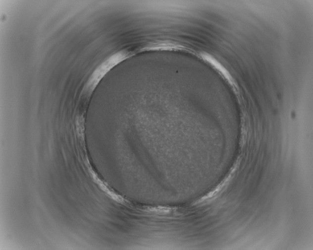 X0000087671329200705251609