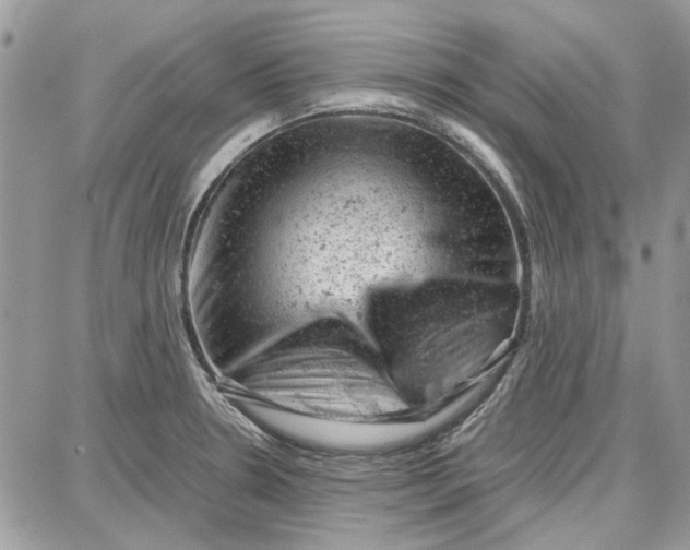 X0000087671330200705251609