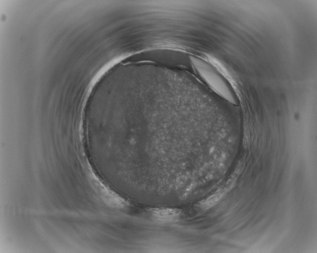 X0000087671331200705251609