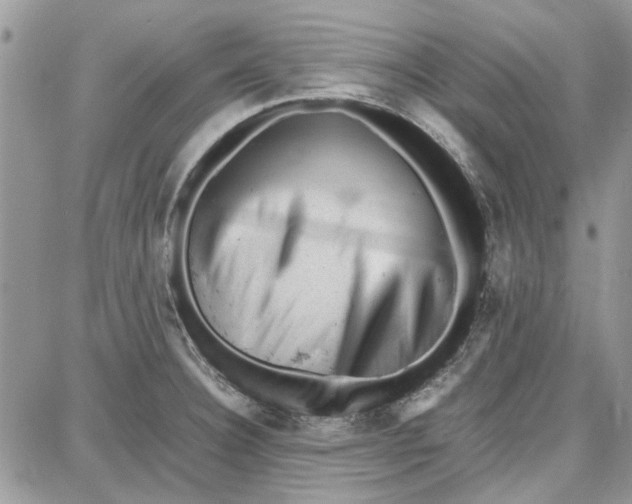 X0000087671332200705251609