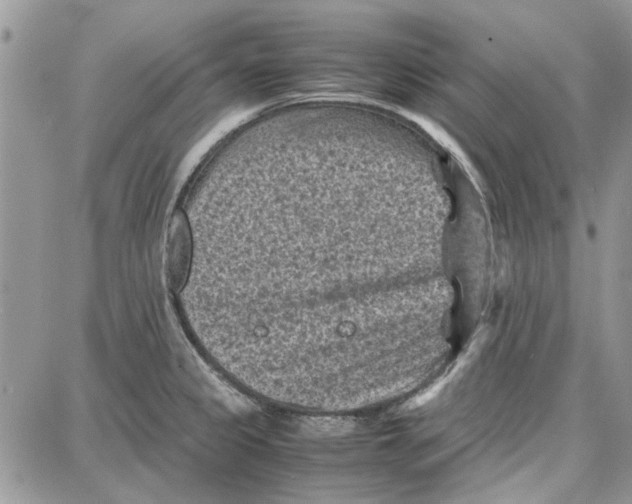 X0000087671333200705251609