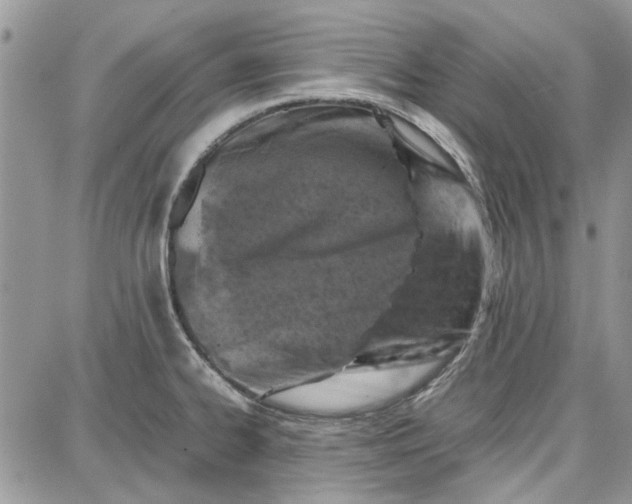 X0000087671334200705251609