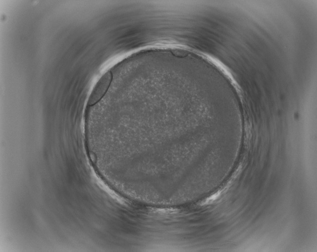 X0000087671335200705251609