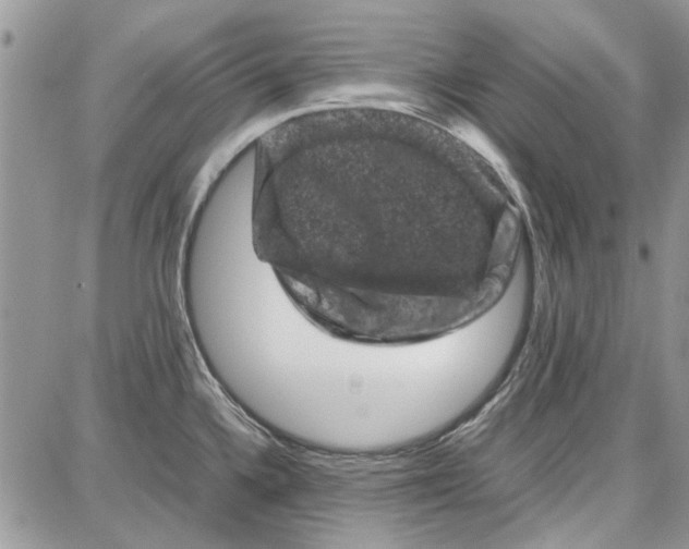 X0000087671336200705251609