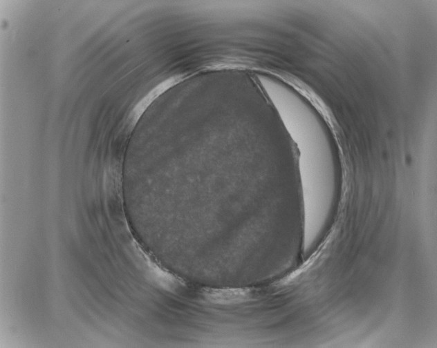 X0000087671337200705251609