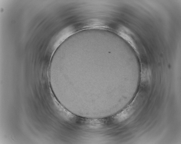 X0000087671338200705251609