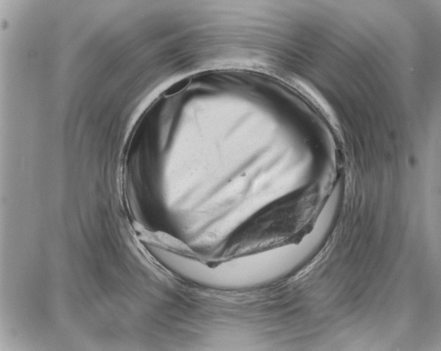 X0000087671340200705251609