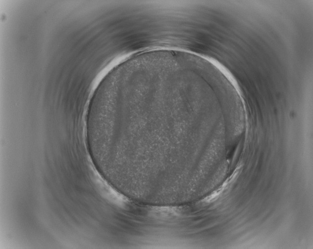 X0000087671341200705251609