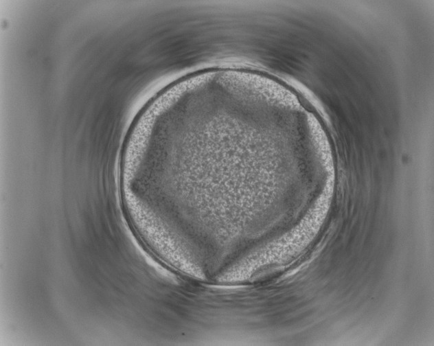 X0000087671343200705251609