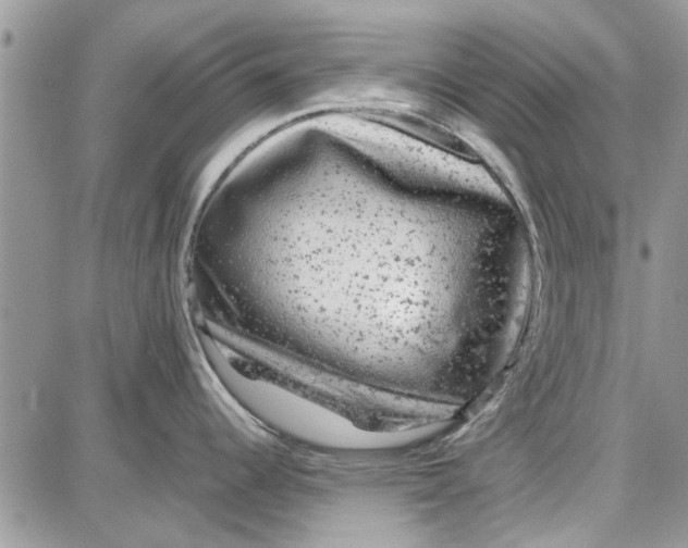 X0000087671344200705251609