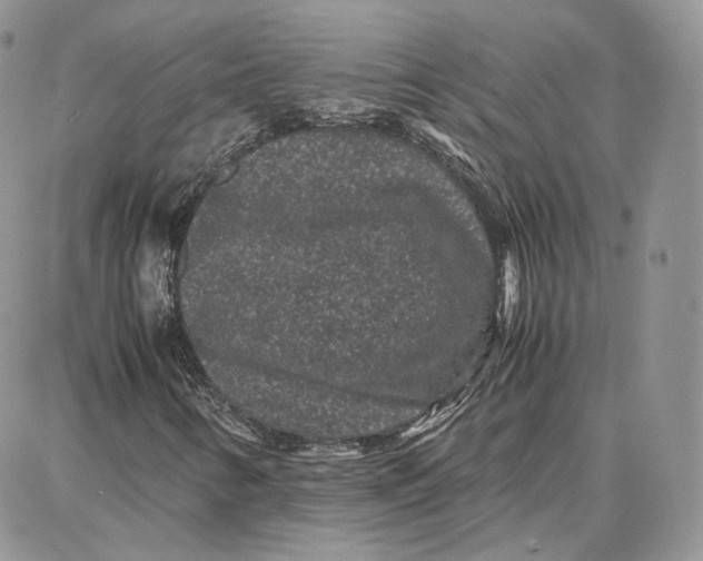 X0000087671346200705251608