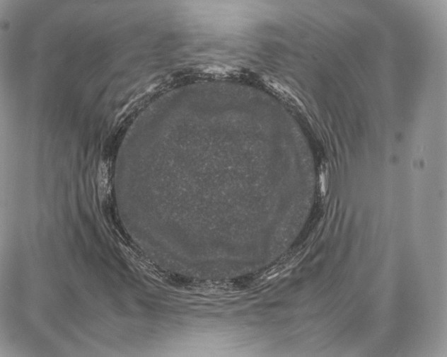 X0000087671347200705251608