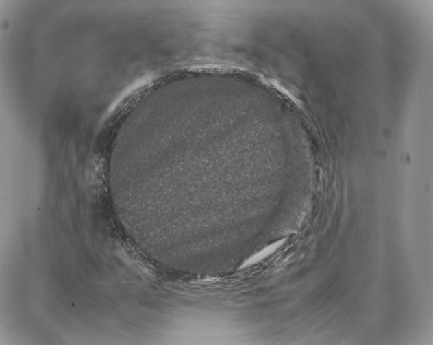 X0000087671351200705251608