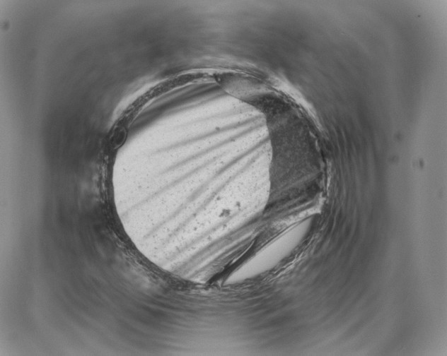 X0000087671352200705251608