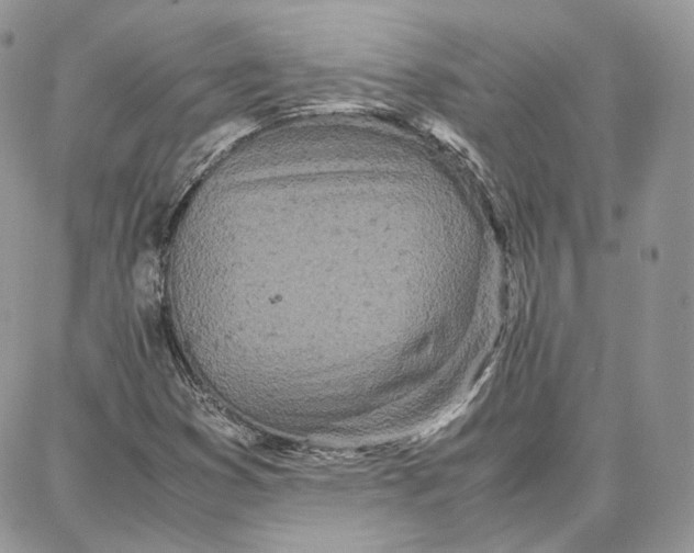 X0000087671353200705251608