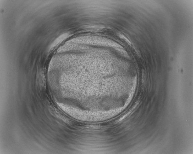 X0000087671354200705251608