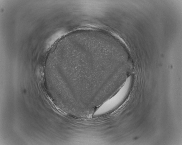 X0000087671355200705251608