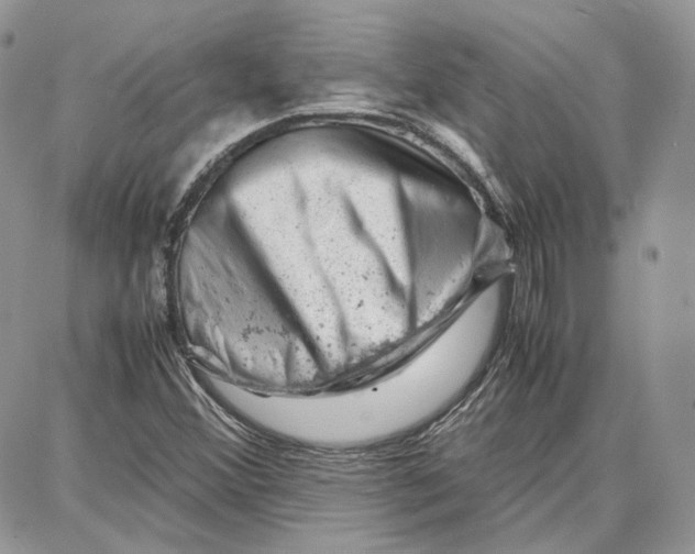 X0000087671356200705251608