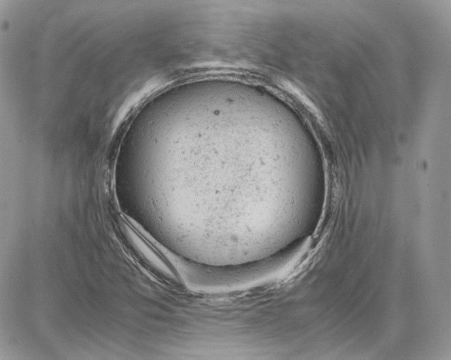 X0000087671357200705251608