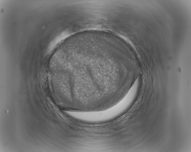 X0000087671359200705251608